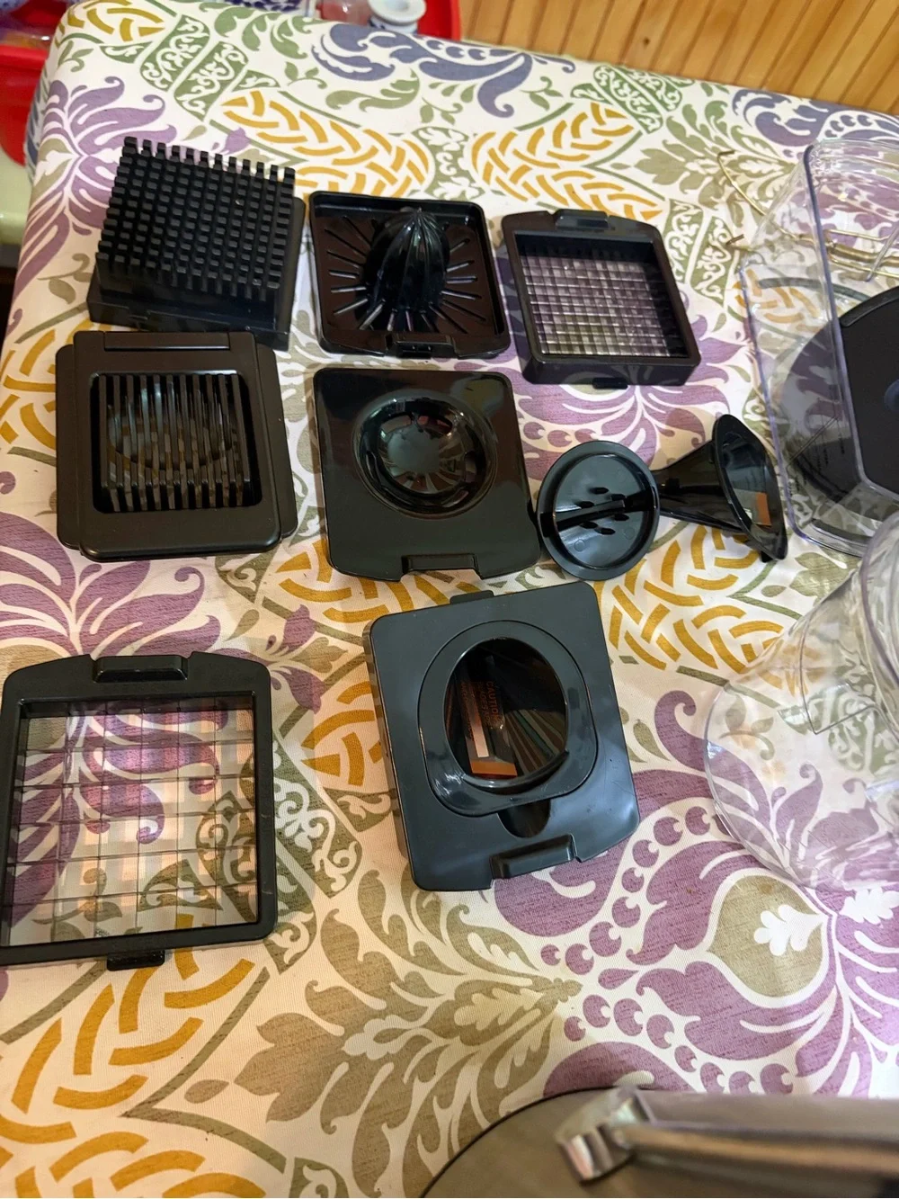 Bella D. Stainless Steel and Black Juicer